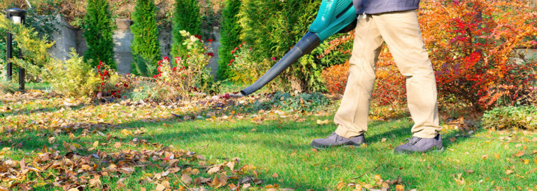 Garten winterfest machen: Welche Gartengeräte sind im Herbst unverzichtbar